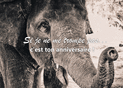 Anniversaire dr&ocirc;le avec un &eacute;l&eacute;phant amical